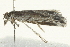  ( - BIOUG00831-H05)  @12 [ ] CreativeCommons - Attribution (2011) CBG Photography Group Centre for Biodiversity Genomics