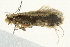  ( - BIOUG00831-H08)  @13 [ ] CreativeCommons - Attribution (2011) CBG Photography Group Centre for Biodiversity Genomics