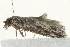  ( - BIOUG00831-H11)  @12 [ ] CreativeCommons - Attribution (2011) CBG Photography Group Centre for Biodiversity Genomics