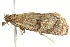  ( - BIOUG00844-C12)  @12 [ ] CreativeCommons - Attribution (2011) CBG Photography Group Centre for Biodiversity Genomics