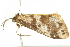  ( - BIOUG00844-E01)  @13 [ ] CreativeCommons - Attribution (2011) CBG Photography Group Centre for Biodiversity Genomics