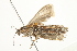  ( - BIOUG00790-B12)  @13 [ ] CreativeCommons - Attribution (2011) CBG Photography Group Centre for Biodiversity Genomics