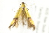  ( - BIOUG00790-H05)  @13 [ ] CreativeCommons - Attribution (2011) CBG Photography Group Centre for Biodiversity Genomics