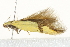  ( - BIOUG00790-H10)  @14 [ ] CreativeCommons - Attribution (2011) CBG Photography Group Centre for Biodiversity Genomics