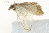 ( - BIOUG00790-H11)  @12 [ ] CreativeCommons - Attribution (2011) CBG Photography Group Centre for Biodiversity Genomics