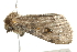  ( - BIOUG00791-E07)  @13 [ ] CreativeCommons - Attribution (2011) CBG Photography Group Centre for Biodiversity Genomics