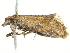  ( - BIOUG00792-A12)  @13 [ ] CreativeCommons - Attribution (2011) CBG Photography Group Centre for Biodiversity Genomics