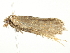  ( - BIOUG00792-B01)  @13 [ ] CreativeCommons - Attribution (2011) CBG Photography Group Centre for Biodiversity Genomics