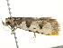  ( - BIOUG00792-C07)  @12 [ ] CreativeCommons - Attribution (2011) CBG Photography Group Centre for Biodiversity Genomics