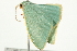  ( - BIOUG00793-C08)  @12 [ ] CreativeCommons - Attribution (2011) CBG Photography Group Centre for Biodiversity Genomics
