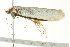  ( - BIOUG00793-F07)  @12 [ ] CreativeCommons - Attribution (2011) CBG Photography Group Centre for Biodiversity Genomics