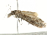  ( - BIOUG00787-G01)  @13 [ ] CreativeCommons - Attribution (2011) CBG Photography Group Centre for Biodiversity Genomics