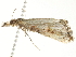  ( - BIOUG00788-C12)  @13 [ ] CreativeCommons - Attribution (2011) CBG Photography Group Centre for Biodiversity Genomics