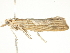  (PlutellaX - BIOUG00788-F05)  @12 [ ] CreativeCommons - Attribution (2011) CBG Photography Group Centre for Biodiversity Genomics