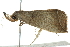 ( - BIOUG01024-C04)  @14 [ ] CreativeCommons - Attribution (2011) CBG Photography Group Centre for Biodiversity Genomics