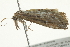  ( - BIOUG01254-D04)  @13 [ ] CreativeCommons - Attribution (2011) CBG Photography Group Centre for Biodiversity Genomics