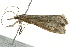  ( - BIOUG01174-B06)  @12 [ ] CreativeCommons - Attribution (2011) CBG Photography Group Centre for Biodiversity Genomics
