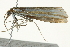  ( - BIOUG01174-F06)  @12 [ ] CreativeCommons - Attribution (2011) CBG Photography Group Centre for Biodiversity Genomics