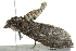  ( - BIOUG01174-H09)  @14 [ ] CreativeCommons - Attribution (2011) CBG Photography Group Centre for Biodiversity Genomics