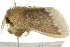  ( - BIOUG01198-A07)  @13 [ ] CreativeCommons - Attribution (2011) CBG Photography Group Centre for Biodiversity Genomics