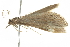  ( - BIOUG01234-F12)  @12 [ ] CreativeCommons - Attribution (2011) CBG Photography Group Centre for Biodiversity Genomics