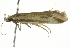  ( - BIOUG01159-B11)  @12 [ ] CreativeCommons - Attribution (2011) CBG Photography Group Centre for Biodiversity Genomics