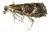  ( - BIOUG01159-F05)  @13 [ ] CreativeCommons - Attribution (2011) CBG Photography Group Centre for Biodiversity Genomics