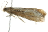 ( - BIOUG01159-G07)  @13 [ ] CreativeCommons - Attribution (2011) CBG Photography Group Centre for Biodiversity Genomics