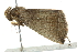 ( - BIOUG01163-B11)  @14 [ ] CreativeCommons - Attribution (2011) CBG Photography Group Centre for Biodiversity Genomics
