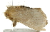  ( - BIOUG01235-C02)  @13 [ ] CreativeCommons - Attribution (2011) CBG Photography Group Centre for Biodiversity Genomics