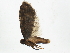  ( - BIOUG02151-D11)  @12 [ ] CreativeCommons - Attribution (2012) CBG Photography Group Centre for Biodiversity Genomics