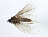  ( - BIOUG02151-F11)  @11 [ ] CreativeCommons - Attribution (2012) CBG Photography Group Centre for Biodiversity Genomics