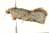 ( - BIOUG02089-F06)  @12 [ ] CreativeCommons - Attribution (2012) CBG Photography Group Centre for Biodiversity Genomics