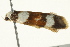  ( - BIOUG02089-F11)  @13 [ ] CreativeCommons - Attribution (2012) CBG Photography Group Centre for Biodiversity Genomics