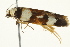  ( - BIOUG02089-F12)  @13 [ ] CreativeCommons - Attribution (2012) CBG Photography Group Centre for Biodiversity Genomics