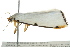  ( - BIOUG02121-C11)  @13 [ ] CreativeCommons - Attribution (2012) CBG Photography Group Centre for Biodiversity Genomics