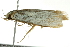  ( - BIOUG02105-B07)  @12 [ ] CreativeCommons - Attribution (2012) CBG Photography Group Centre for Biodiversity Genomics
