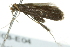 ( - BIOUG02108-E04)  @13 [ ] CreativeCommons - Attribution (2012) CBG Photography Group Centre for Biodiversity Genomics