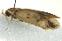  ( - BIOUG02109-E03)  @12 [ ] CreativeCommons - Attribution (2012) CBG Photography Group Centre for Biodiversity Genomics
