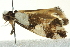  ( - BIOUG02109-G06)  @13 [ ] CreativeCommons - Attribution (2012) CBG Photography Group Centre for Biodiversity Genomics