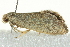  ( - BIOUG02113-A09)  @14 [ ] CreativeCommons - Attribution (2012) CBG Photography Group Centre for Biodiversity Genomics