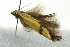  ( - BIOUG02113-C06)  @13 [ ] CreativeCommons - Attribution (2012) CBG Photography Group Centre for Biodiversity Genomics