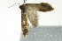  ( - BIOUG02113-D06)  @13 [ ] CreativeCommons - Attribution (2012) CBG Photography Group Centre for Biodiversity Genomics