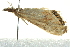 ( - BIOUG02113-E03)  @13 [ ] CreativeCommons - Attribution (2012) CBG Photography Group Centre for Biodiversity Genomics