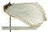  ( - BIOUG02115-H05)  @13 [ ] CreativeCommons - Attribution (2012) CBG Photography Group Centre for Biodiversity Genomics