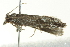  ( - BIOUG02120-A09)  @12 [ ] CreativeCommons - Attribution (2012) CBG Photography Group Centre for Biodiversity Genomics