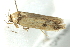  ( - BIOUG02122-H07)  @12 [ ] CreativeCommons - Attribution (2012) CBG Photography Group Centre for Biodiversity Genomics