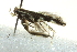  ( - BIOUG02122-H08)  @13 [ ] CreativeCommons - Attribution (2012) CBG Photography Group Centre for Biodiversity Genomics