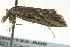  ( - BIOUG02123-A05)  @12 [ ] CreativeCommons - Attribution (2012) CBG Photography Group Centre for Biodiversity Genomics
