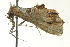  ( - BIOUG02123-A08)  @13 [ ] CreativeCommons - Attribution (2012) CBG Photography Group Centre for Biodiversity Genomics